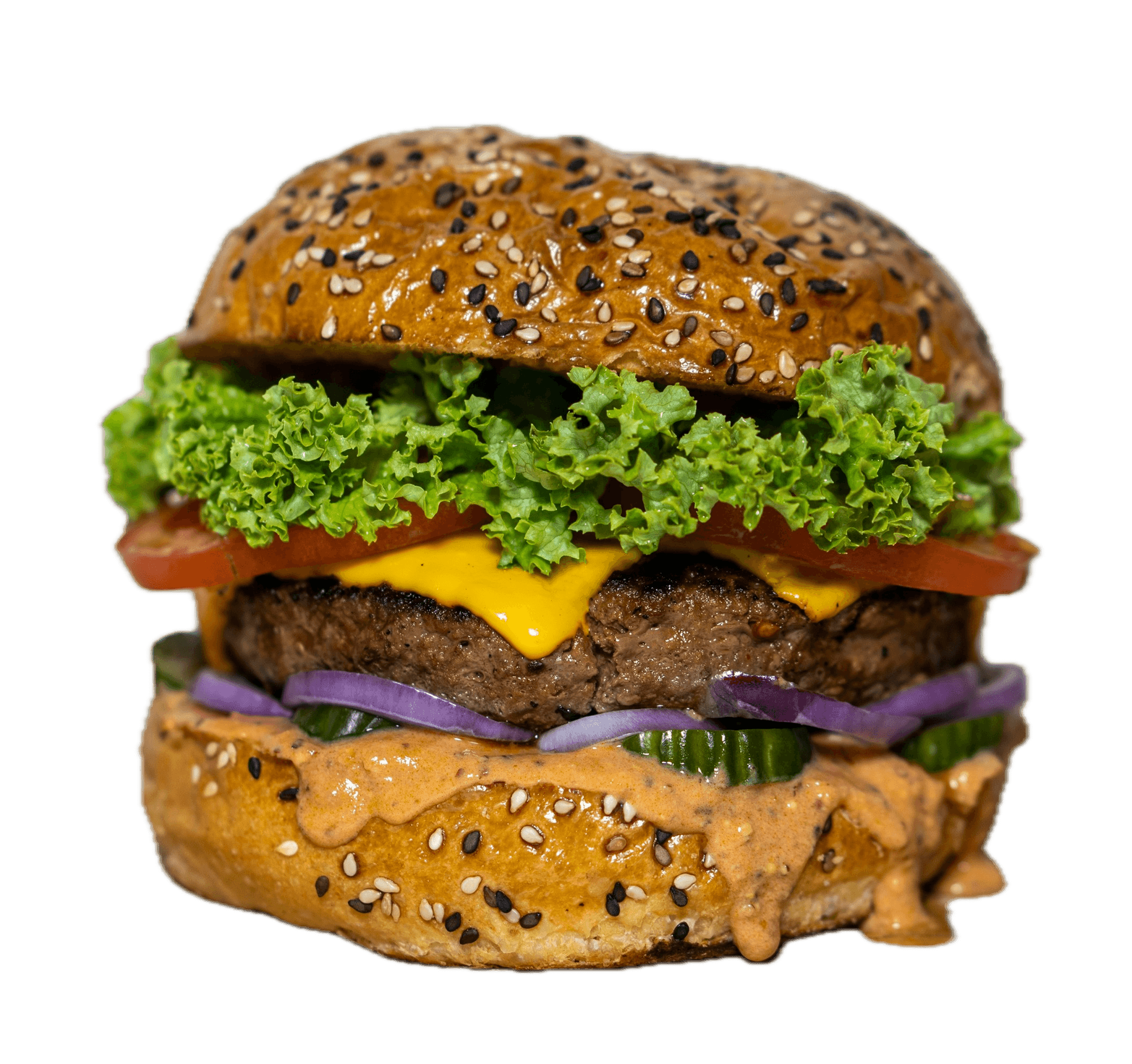 Veggie Delight Burger